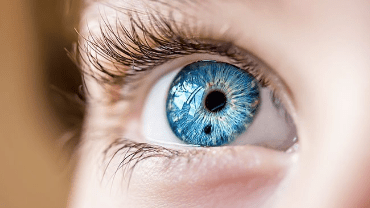 Orbit & Oculoplasty